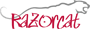 Razorcat Development GmbH Logo
